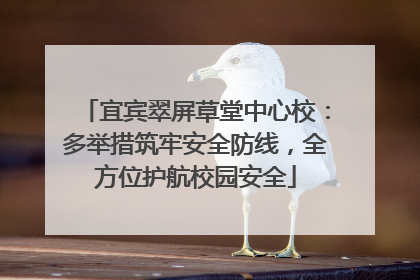 宜宾翠屏草堂中心校：多举措筑牢安全防线，全方位护航校园安全